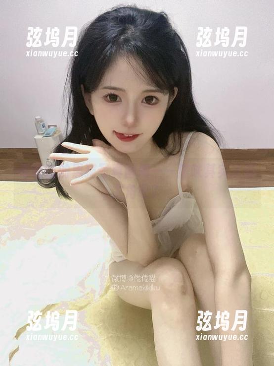倦倦喵 倦倦喵的黑猫写真图册——猫咪其实才是主角吧?