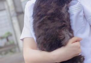 美图新体验，疯猫ss在死库水中摇曳的影子